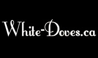 White-Doves.ca